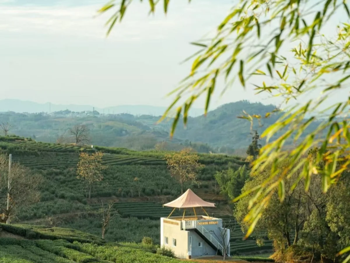 Shanghai: Dashipu Waterfall & Tea Garden Rocks Day Trip