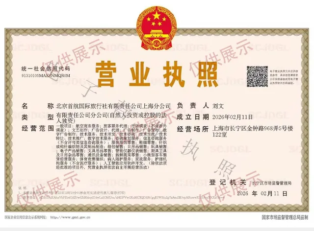 Company business licence